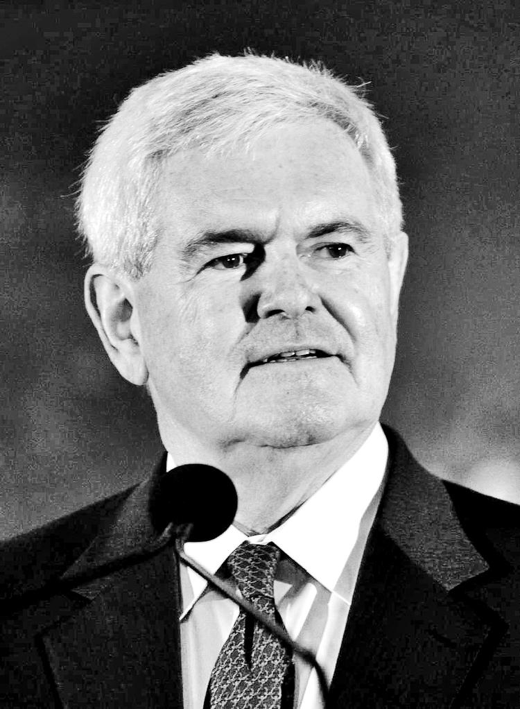 <b>Newt Gingrich</b><br></br><b>Alder:</b>67 år.<br></br><b>Baggrund:</b> Tidligere formand for Repræsentanternes Hus.<br></br><b>Styrker:</b> Kendt og respekteret som en af republikanernes tænkere og stod bag partiets historiske valgsejr i 1994.<br></br><b>Svagheder:</b> Meget polariserende og hovedansvarlig for lukningen af USA-regeringen i 1995, der blev en pr-fiasko for republikanerne. Havde også en meget omtalt affære, der kan skade ham i konservative kredse. 