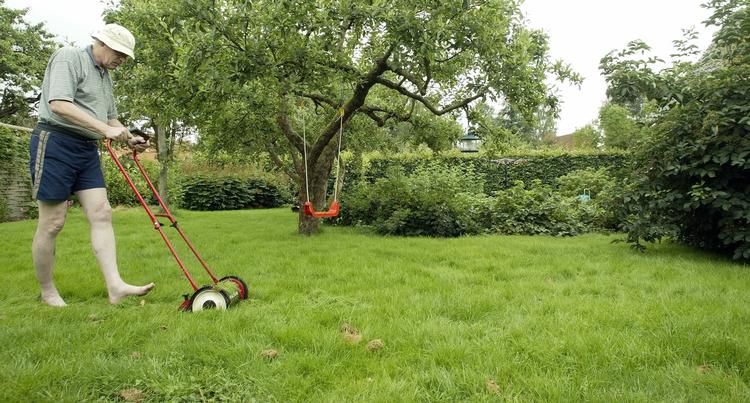 Grønt græs. Giv plænen pleje inden det bliver varmere. 
