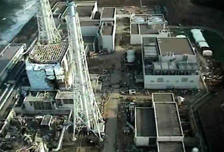 Hærget. Det ødelagte Fukushima-værk har skabt bekymring verden over. 