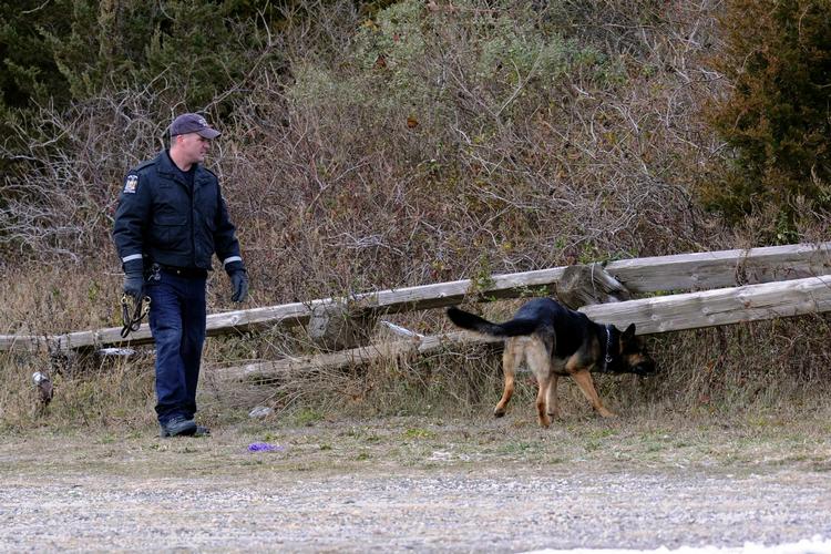 Skjult. Politiet finkæmmer for tiden Long Island i New York. I går fandt de flere menneskelige kropsdele på øen, og de mener, at en seriemorder er på spil. 