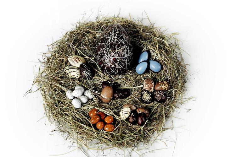 Påskealleri. Påskeæg er en af allergisynderne, men også grene fra mange forskellige planter, man sætter ind i stuen, kan udløse allergiske reaktioner hos særligt følsomme. 