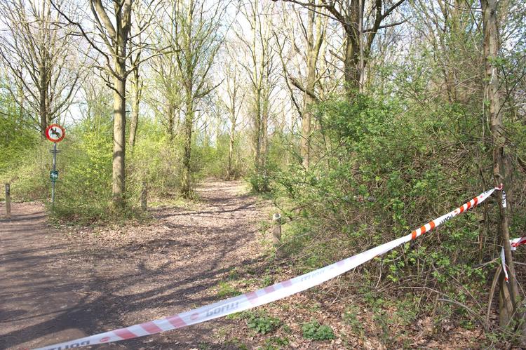 DOBBELTDRAB. Ægteparret blev fundet her i skoven i Odense. 