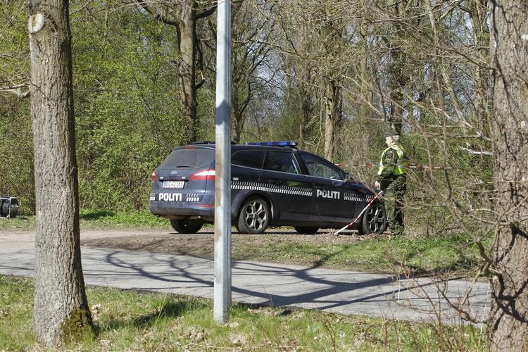EFTERSØGNING. Politiet kæmper for at finde gerningsmanden til et drab i en skov tæt på et 'sølvbryllupskvarter', som beboerne selv kalder det. 