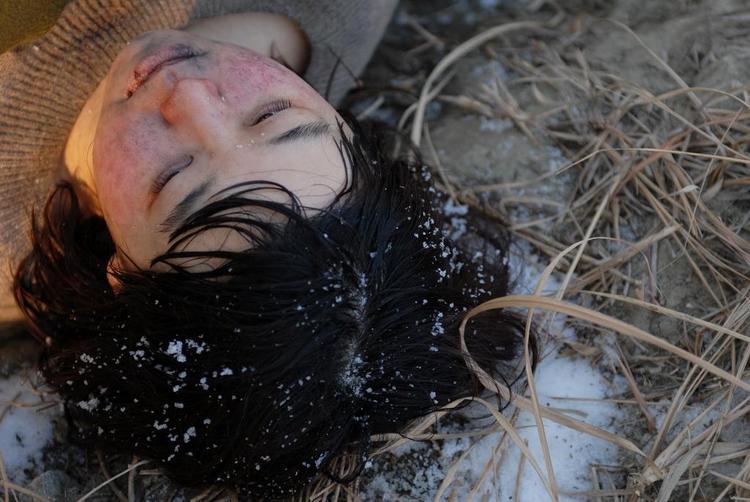 Debutant. Asiensfilmeksperten Tony Rayns har kaldt Jo Sung-hees 'End of Animal' for »den måske mest bemærkelsesværdige debut i koreansk filmhistorie«. 