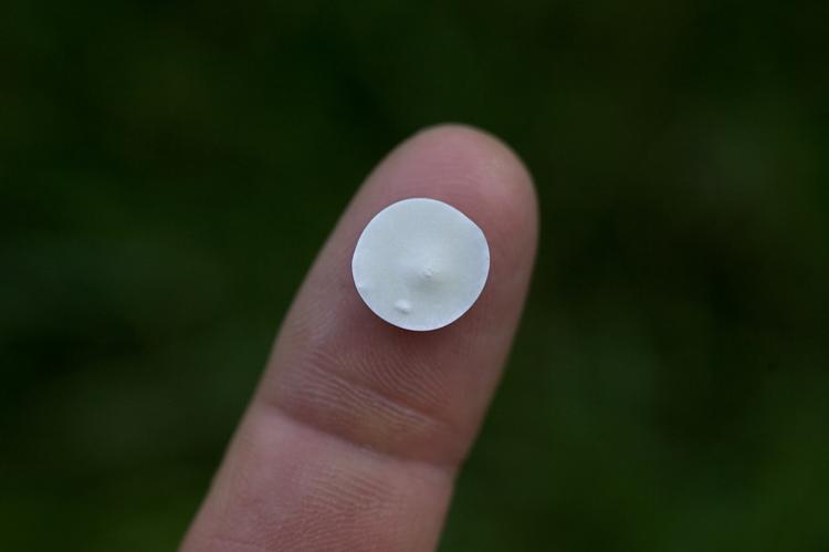 Pillen Grazax, skal lægges under tungen dagligt for at slippe af med græsallergien. 