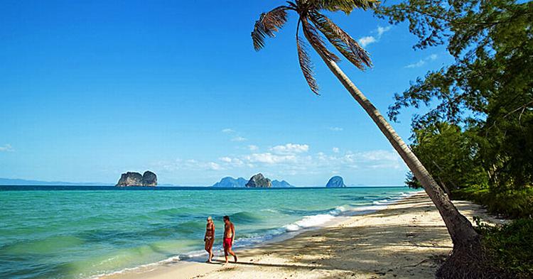 THAIFRED. For 