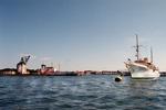 København skal have havnestemning som i Rørvig og Gilleleje. Det vil en ny udendørsservering på Nodre Toldbod sørge for med billige fiskeretter og masser af arrangementer. 