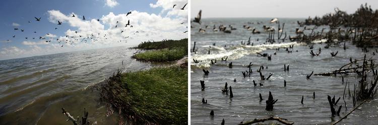 Da Deepwater Horizon ved ulykkestidspunktet var placeret ud for Louisianas kyst forholdsvis tæt ved Mississippi-deltaet, var der bekymring for, at de sårbare vådområder ved kysten kunne blive ramt af den alvorligste olieforurening siden Exxon Valdez-ulykken i 1989 i Alaska. 