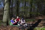 Forår. I Hareskoven nord for København er skovbunden netop nu dækket af anemoner og bøgetræerne er så småt ved at springe ud. 