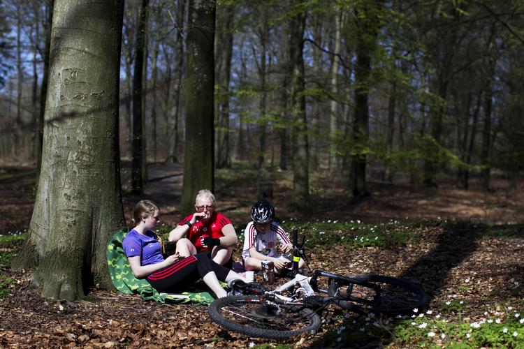Forår. I Hareskoven nord for København er skovbunden netop nu dækket af anemoner og bøgetræerne er så småt ved at springe ud. 