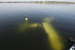 Heldig. Et propelfly styrtede i Mariager Fjord tidligere i dag. Heldigvis slap piloten Preben Byrialsen med få skrammer. Han sidder nu og nyder solen og får varmen efter at »have været en tur i vandet«. Flyet derimod ligger på bunden af den kolde fjord. 