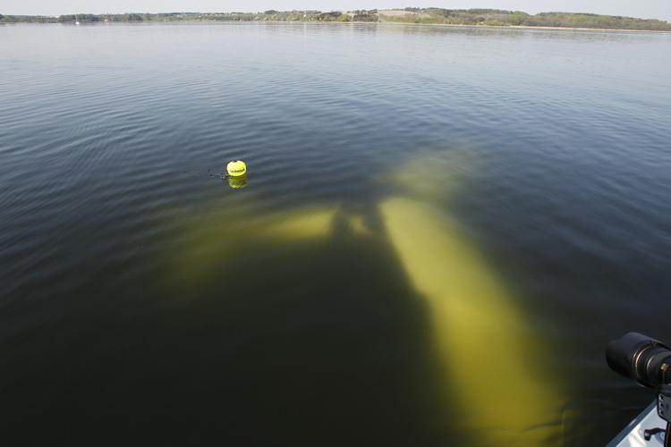 Heldig. Et propelfly styrtede i Mariager Fjord tidligere i dag. Heldigvis slap piloten Preben Byrialsen med få skrammer. Han sidder nu og nyder solen og får varmen efter at »have været en tur i vandet«. Flyet derimod ligger på bunden af den kolde fjord. 