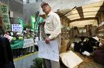 Utilfreds. Den 67-årige Shoji Ando var blandt de mange japanske landmænd, der havde taget et par køer med til dagens demonstration i Tokyo. 