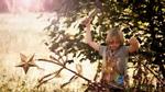 Natur. 'Grantræet' kan ses på den københavnske filmfestival CPH PIX. 