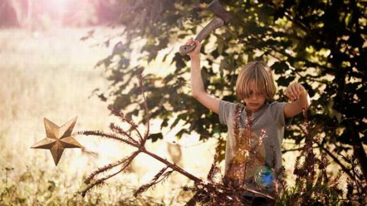 Natur. 'Grantræet' kan ses på den københavnske filmfestival CPH PIX. 