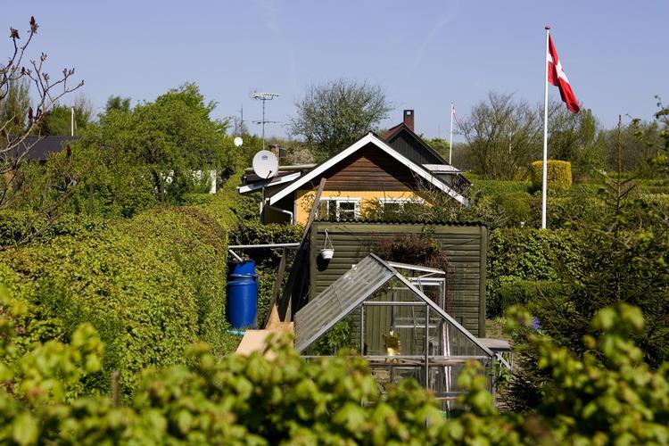 Ulykker. Bag hækken gemmer sig fælder, der hvert år sender massevis af danskere på skadestuen. 