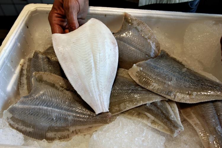 Friskfanget. I maj måned kan man hver lørdag købe 'maritime håndmadder' og friske fisk på Gl. Strand. 