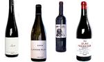 Her er de fire bedste vine i denne måneds luksusvintest. Fra venstre Riesling Terrassen 2009 (175 kr/fl.), Bourgogne Blanc 2008 (139 kr./fl), Passadouro 2008 (119 kr./fl.) og Blaufränkisch 2009 (145 kr/fl.) 