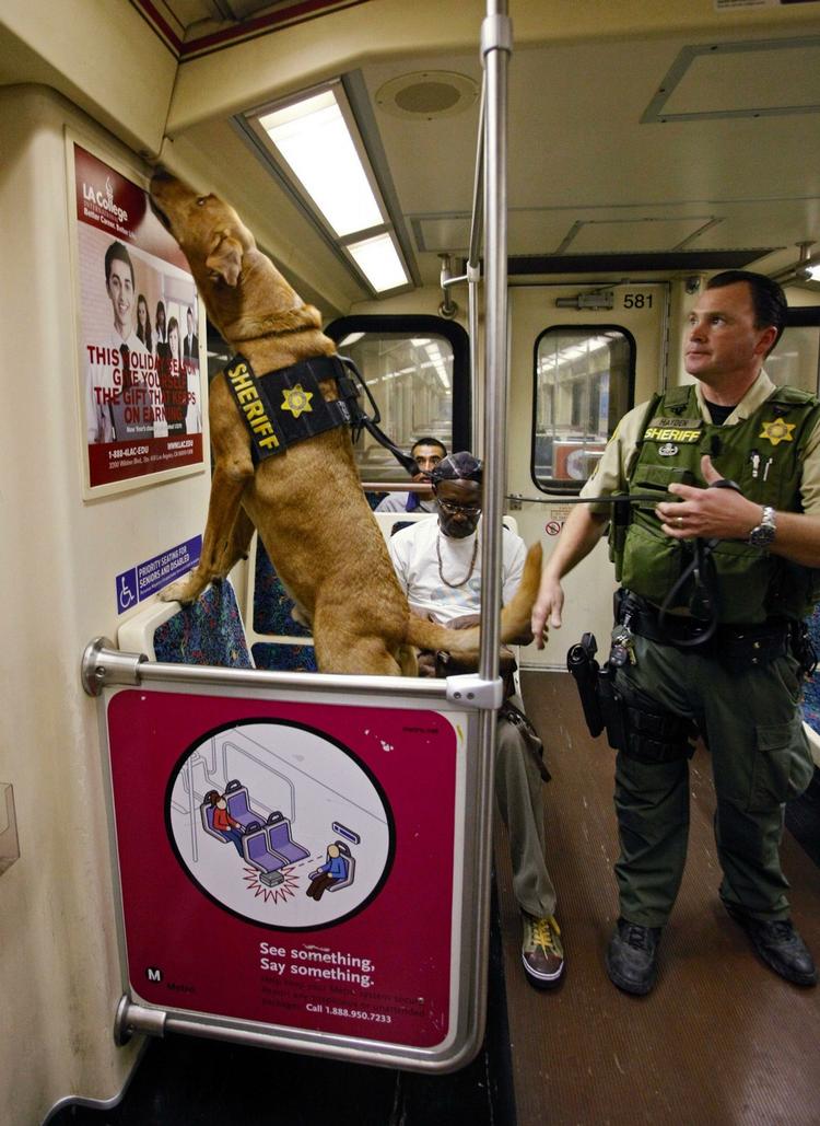 Hundefører Kiley Hayden og hans hund 'XXZYLO' gennemsøger et metrotog i Los Angeles. 