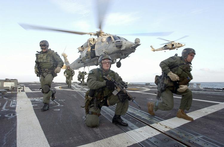 Den amerikanske flådes Sea, Air and Land (SEAL) - eller Navy Seal - styrke er flådens specialstyrke, der bruges til ukonventionel krigsførelse, anti-terrorisme og specielle opklaringsmissioner. 