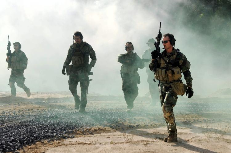 Seals er flådens kommandosoldater. Der findes ialt 2.500, og det var den hemmelige Navy Seals group 6, der var i aktion mod Osama bin Laden. 