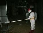 Comeback. I går gik ansatte på det ødelagte japanske Fukushima-atomkraftværk før første gang ind i reaktor 1, der blev hårdt ramt af jordskælvet og den efterfølgende tsunami 11. marts. 