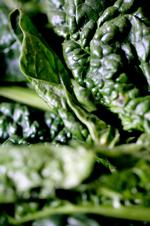 madspinat_08-05-2011_A5BO27C.jpg