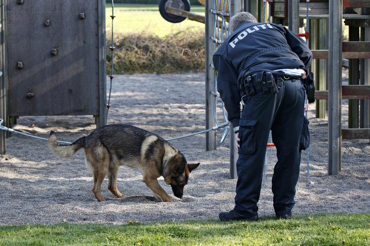 Underjordisk. Politiet søger efter nedgravede våben med såkaldte nedgravningshunde. 