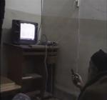 Nyheder. I en video sidder bin Laden i en stol og ser sig selv på tv. 