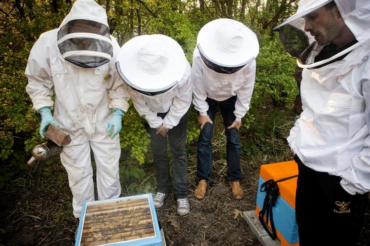 Biavlere. Her ses beboere fra herberget Sundholm. Bierne er ankommet fra Lolland til den første af Københavns fem nye bigårde.  Foto: Lærke Posselt 