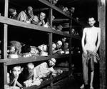 DØDSLEJR. Tyskerne slog millioner ihjel i koncentrationslejre som denne i Buchenwald, fotograferet efter krigens afslutning. Nu afviser tyskerne at udlevere krigsforbryder og massemorder fra Westerborklejren til hollængerne. 