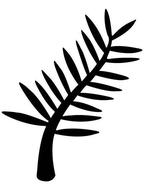 cannes palme