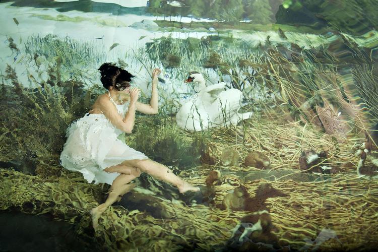 Gennembrud. 'The Helsinki School' er kendt for sine store fotografiske talenter. Her ses 'Svane' af Susanna Majuri, der oversvømmer sine motiver. 