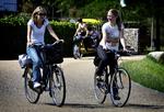 Trafikforseelser på i cykel i København