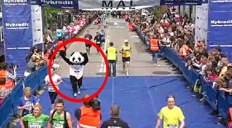 Pandaen - alias Jonas Juhler Hansen løber her over målstregen ved Copenhagen Marathon i tiden 4 timer, 41 minutter og 50 sekunder. 