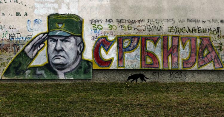 Ratko Mladic har været eftersøgt i mange år for sine forbrydelser under borgerkrigen i Bosnien. 