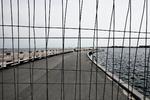 Risiko. 'Det er farlig at færdes på molen, da der er et stort hul i asfalten', informerer et skilt på Svanemøllestrandens mole. 