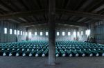 FOLKEMORD. 335 kister med lig fra serbernes massemord i Srebrenica ligger klar til begravelse, efter at retsmedicinere har identificeret ofrene. 