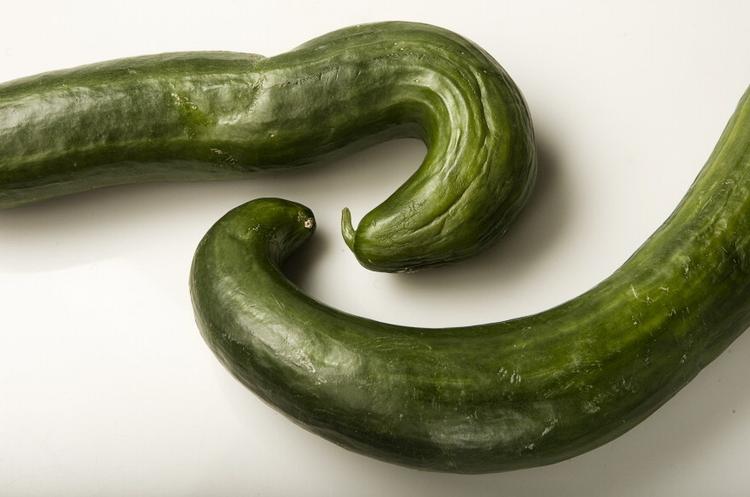 De bakterieramte agurker kommer angiveligt fra Spanien. 