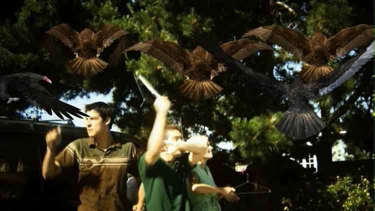 Epidemi. I USA er publikum begejstret over den hysterisk dårlige kultfilm 'Birdemic'. Nu får filmen, som er en hyldest til Hitchcocks 'Fuglene', premiere i Danmark. 