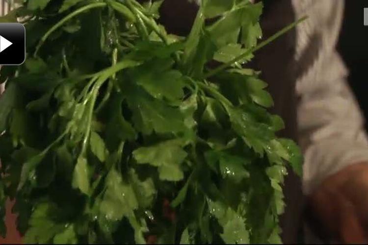 webtv: Kysters tips og tricks: Genopliv din persille