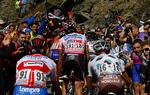 Opadstræbende. Alberto Contador i den lyserøde førertrøje på gårsdagens etape, hvor han kom i mål på en 8. plads efter en kontrolleret etape. 