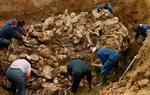 Efterforskere udgraver en massegrav nær Srebrenica i 1996. 