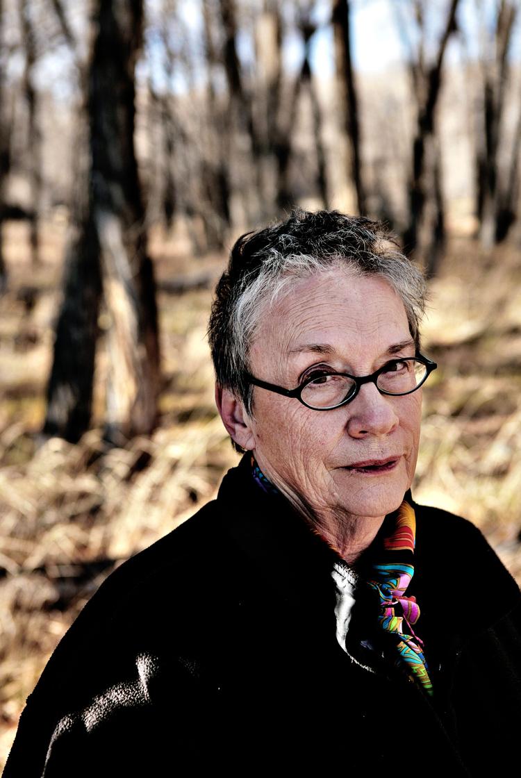 storlæser. Den amerikanske forfatter Annie  Proulx er en  altædende læser, som har  karakteriseret  sit hus som »et  bibliotek med indbygget køkken«. 