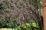 lolhave_010_04-06-2011_P3BTFHA.jpg