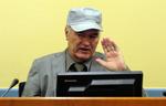 Netherlands War Crimes Mladic