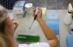 Risiko. Tjekkiet er også ramt af VTEC-bakterien. Her udføres der test på et laboratorium i Brno. 