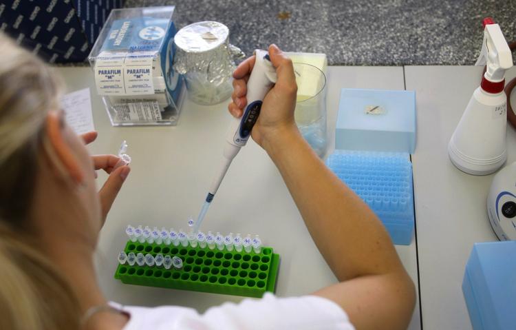 Risiko. Tjekkiet er også ramt af VTEC-bakterien. Her udføres der test på et laboratorium i Brno. 