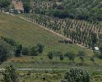Turkey Syria