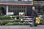 Flor.Hos blomsterhandleren på Vesterbrogade 61 spiller storladne surf- og strandmotiver sammen med tilbud på lavendler og geranium. 